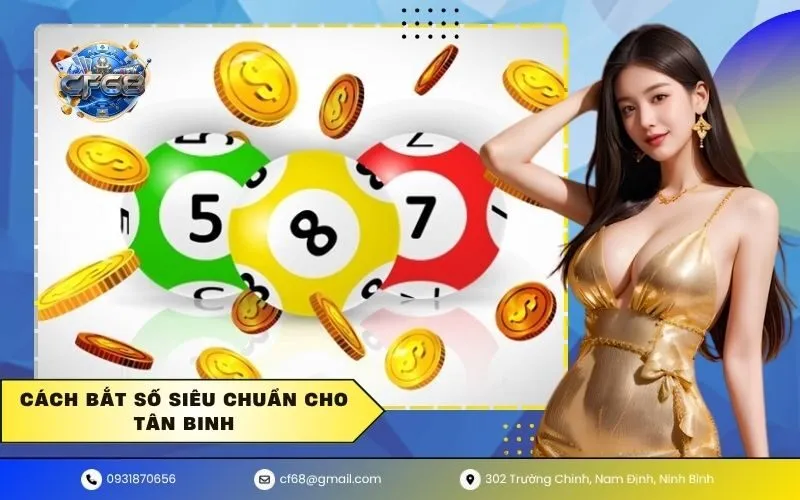 Cách bắt số siêu chuẩn cho tân binh