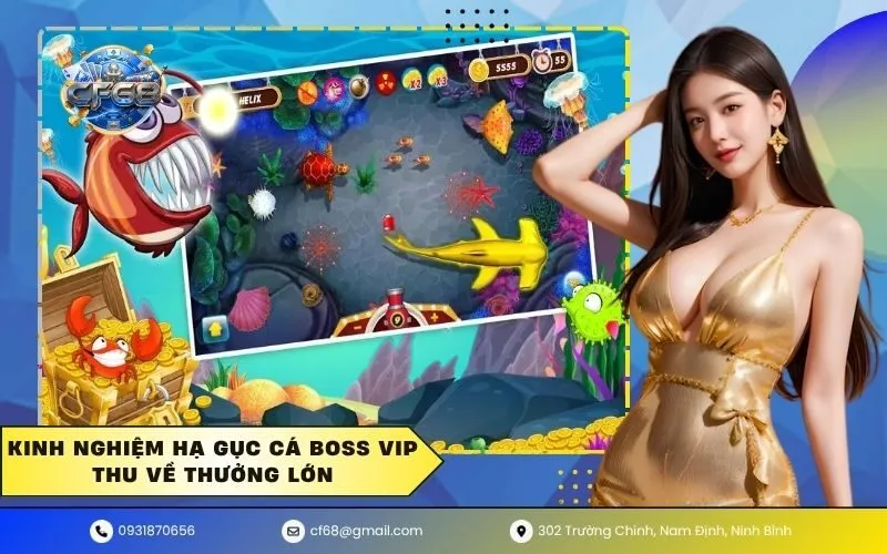 Kinh nghiệm hạ gục cá boss vip thu về thưởng lớn