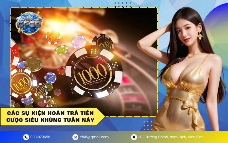 Hoàn Trả Tiền Cược